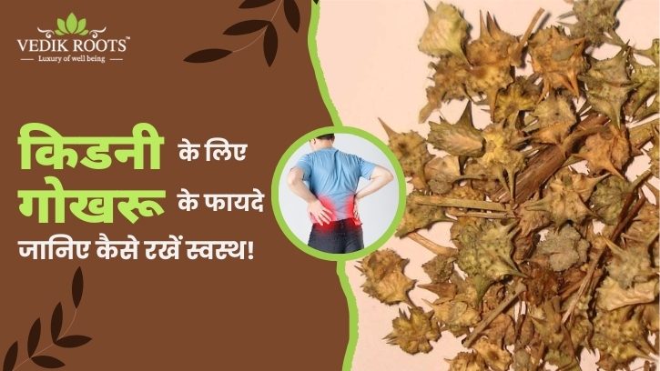 किडनी के लिए गोखरू के फायदे: जानिए कैसे रखें स्वस्थ!