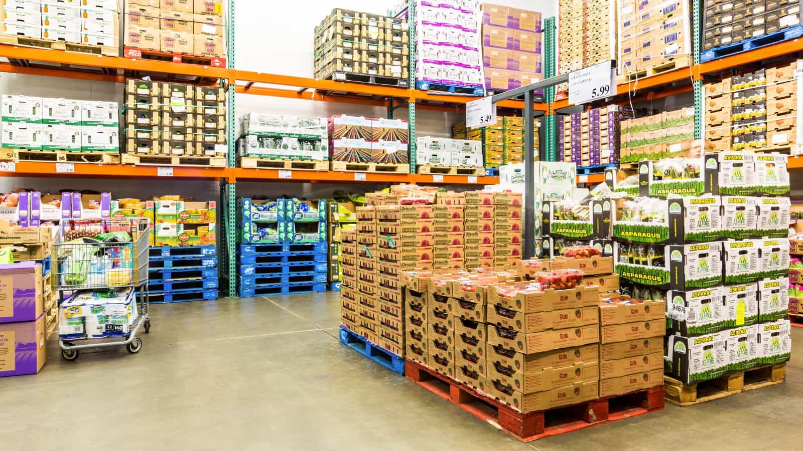Top Wholesale Food Distributors for Retailers: Why 123 Trade Global Stands Out