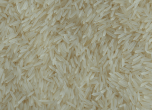 Discover the Premium Quality of PR 11 Rice by Muskan Overseas