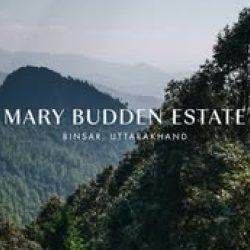 Mary budden