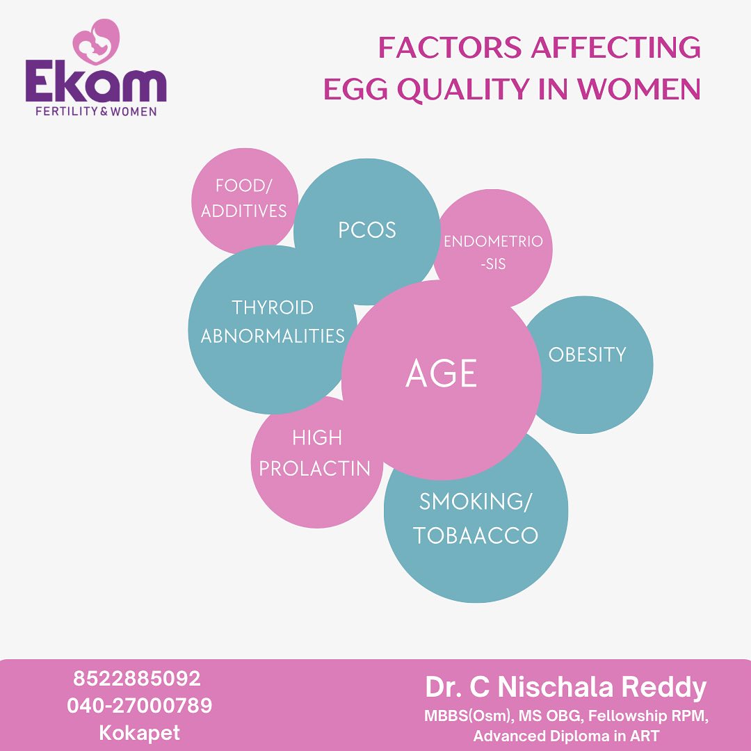 Preserve the Possibility of Parenthood – Egg & Embryo Preservation at Ekam Fertility