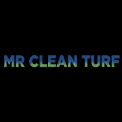 Mr Clean Turf