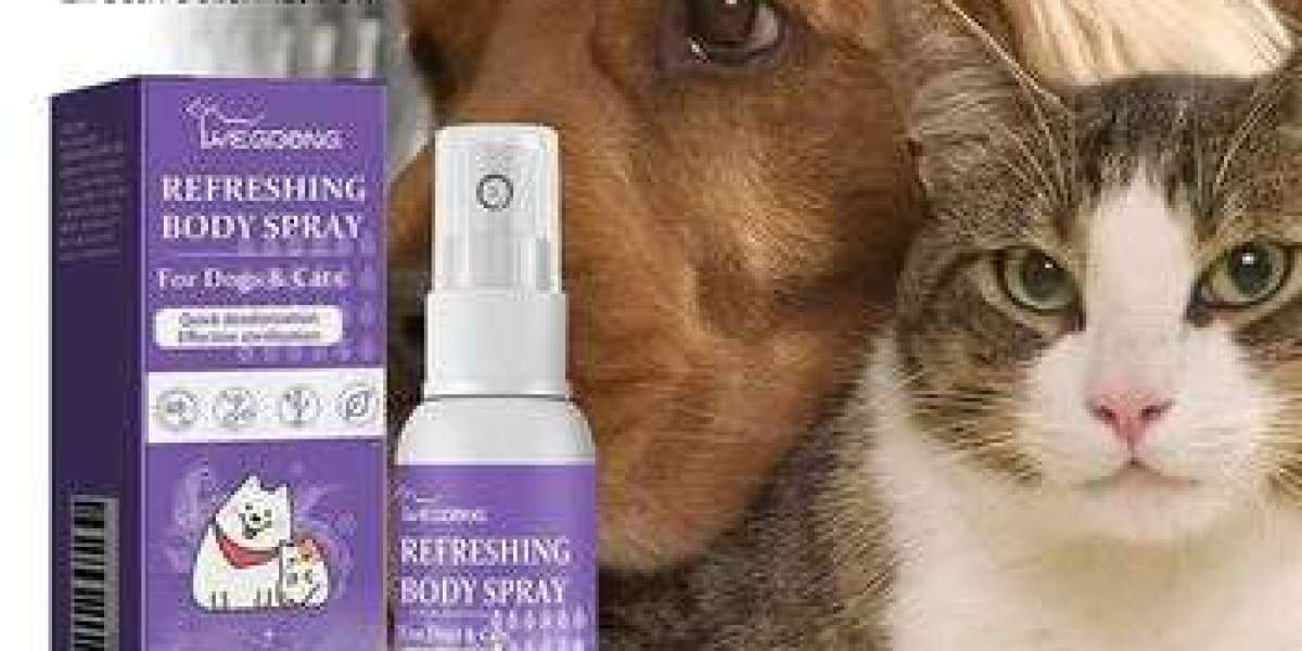 How to Keep Your Home Clean with Pets—The Eco-Friendly Way
