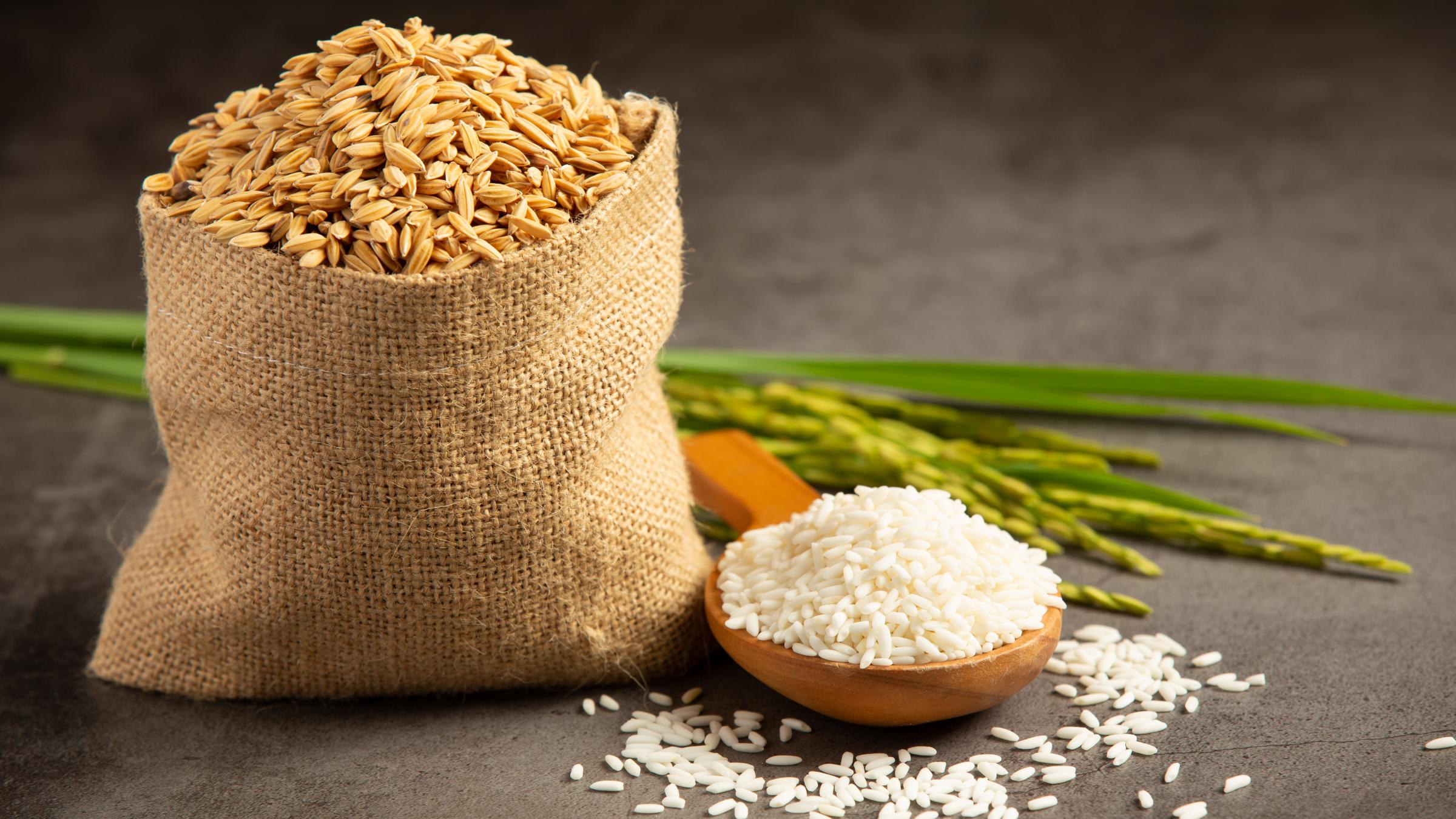 Does Organic Flour Have More Calories? (Spoiler: No, But It’s More Nutrient-Dense)