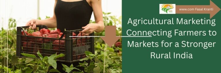 Agricultural-Marketing-Connecting-Farmers-to-Markets-for-a-Stronger-Rural-India
