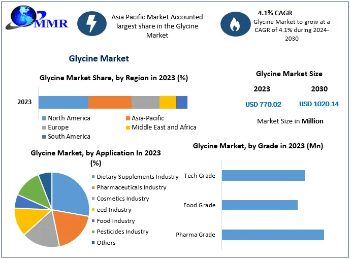 Glycine-Market-1