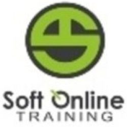 Soft Online Training