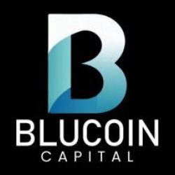 Blucoin Capital Private Limited