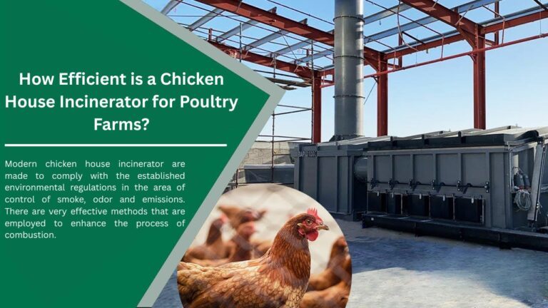 How-Efficient-is-a-Chicken-House-Incinerator-for-Poultry-Farms