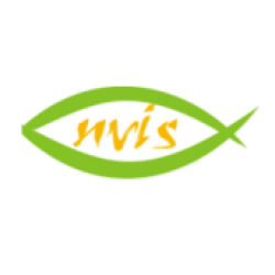 nvis tech