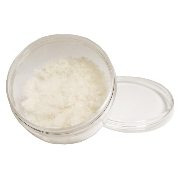 How Amniotic Membrane Grafts for Wounds Are Transforming Amniotic Grafts