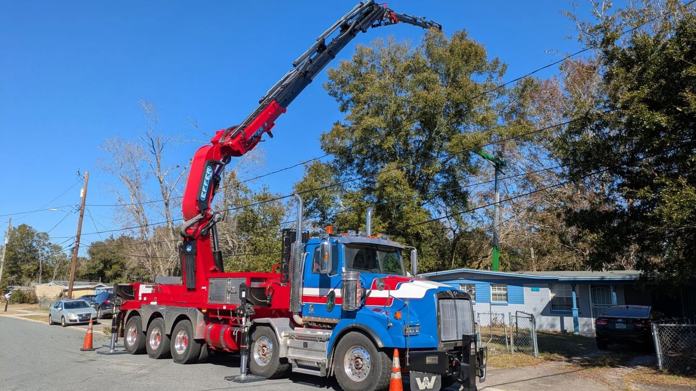 How Does Tree Trimming Enhance the Safety of Your Property?